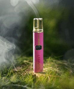 微信图片 20240627180825