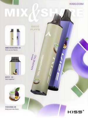 鎧斯五號拋棄式電子煙