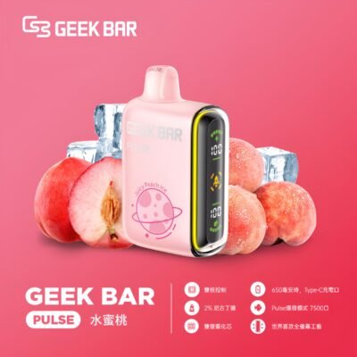 GEEK BAR PULESE 15000 Puffs 小火箭拋棄式電子煙 一次性霧化棒 11 geek bar 小火箭拋棄式電子煙