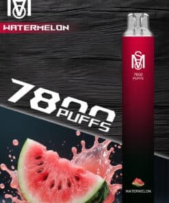 電子煙專賣店 60 mso拋棄式電子煙西瓜