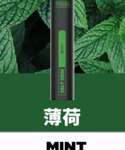 鯊克拋棄式電子煙薄荷