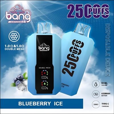 bang big screen 25000 puffs拋棄式電子煙