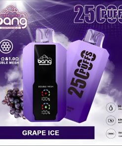 電子煙專賣店 107 Bang 25000 Puffs拋棄式電子煙 超大屏幕 超大容量 可充電