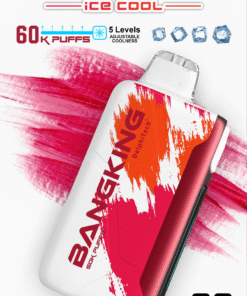 Bangking Ice Cool 60000 Puffs 超大容量拋棄式電子煙 五檔涼度可調一次性煙桿 17 Bangking 可調冰拋棄式電子煙