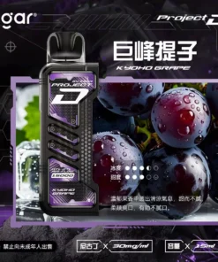 ZGAR 冰熊卡帶提子